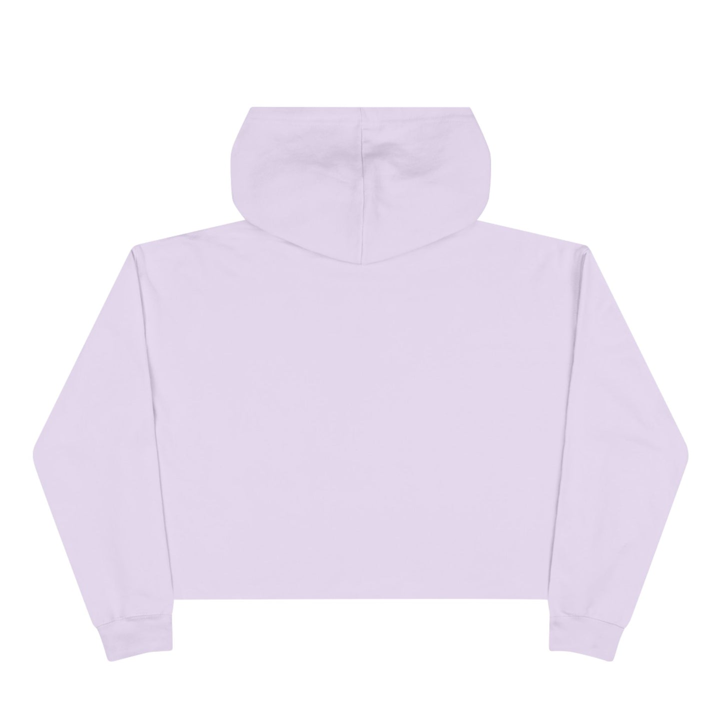 DisciplinedLifestyle Women's Cropped Hoodie